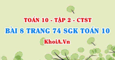 Bài 8 trang 74 SGK Toán 10 tập 2 Chân trời sáng tạo